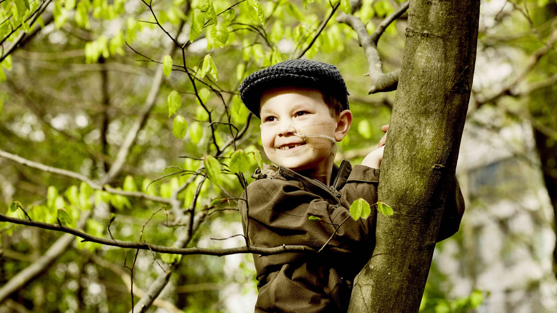 20180426 Johannes Bornecancerfonden KB 293