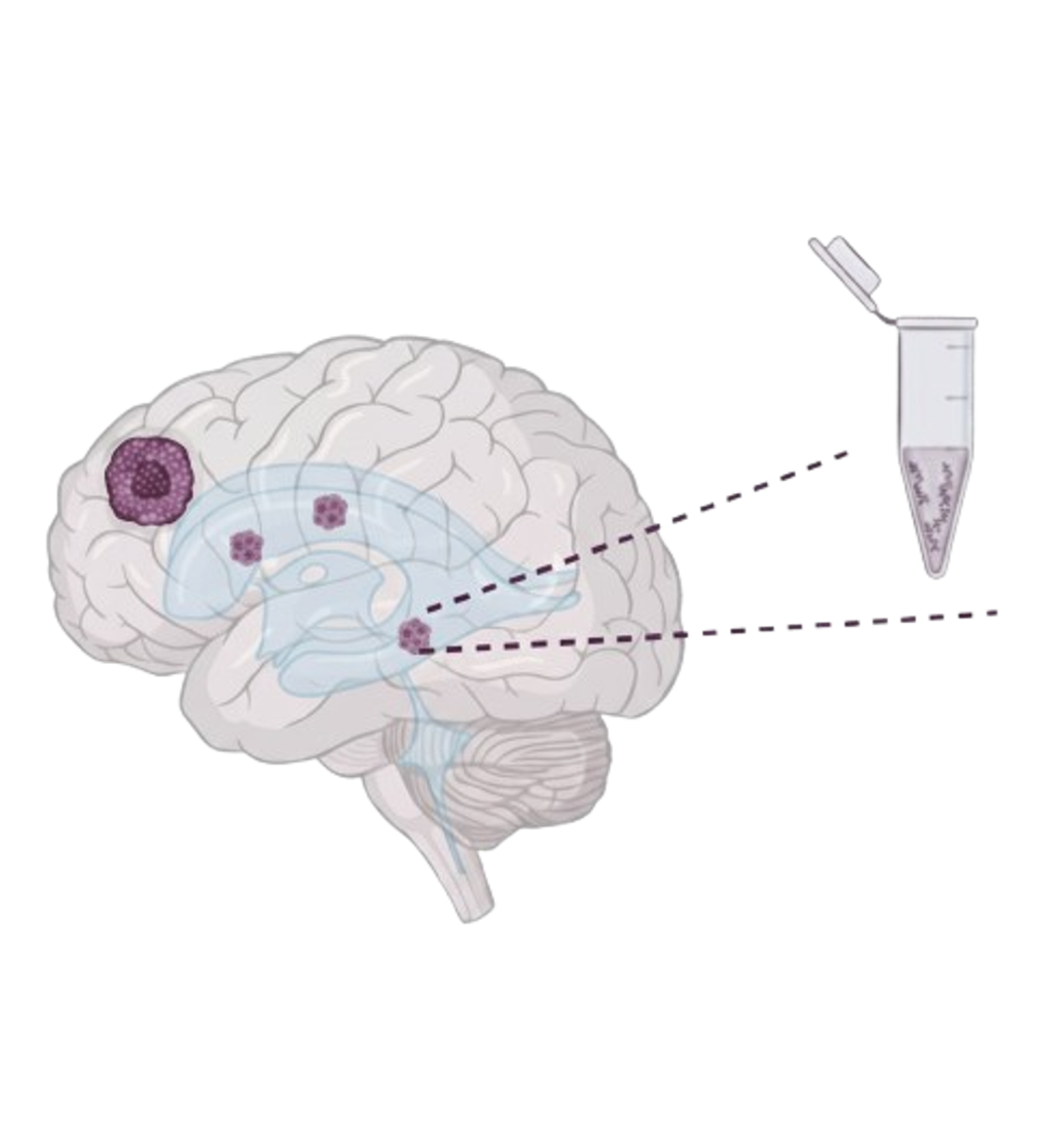 Prøvetagning Forskningsprojekt