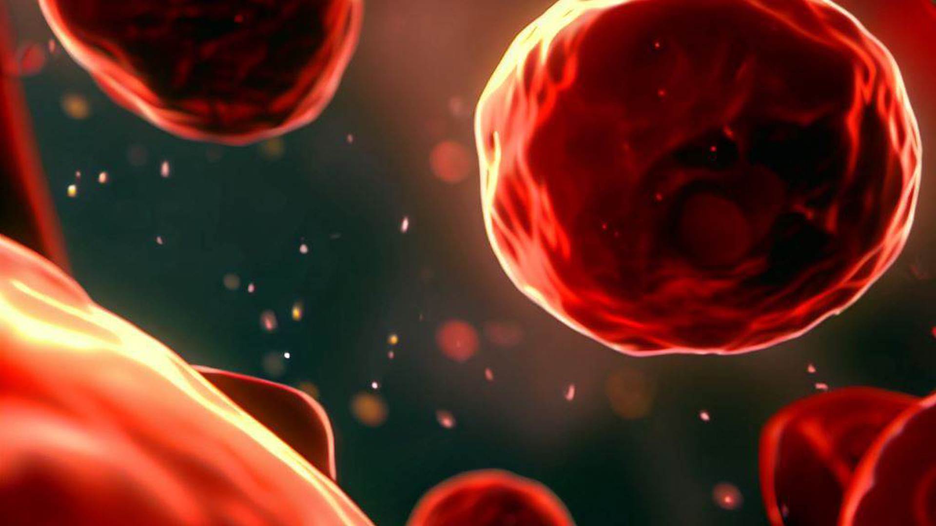 Blod, Børnecancerfonden