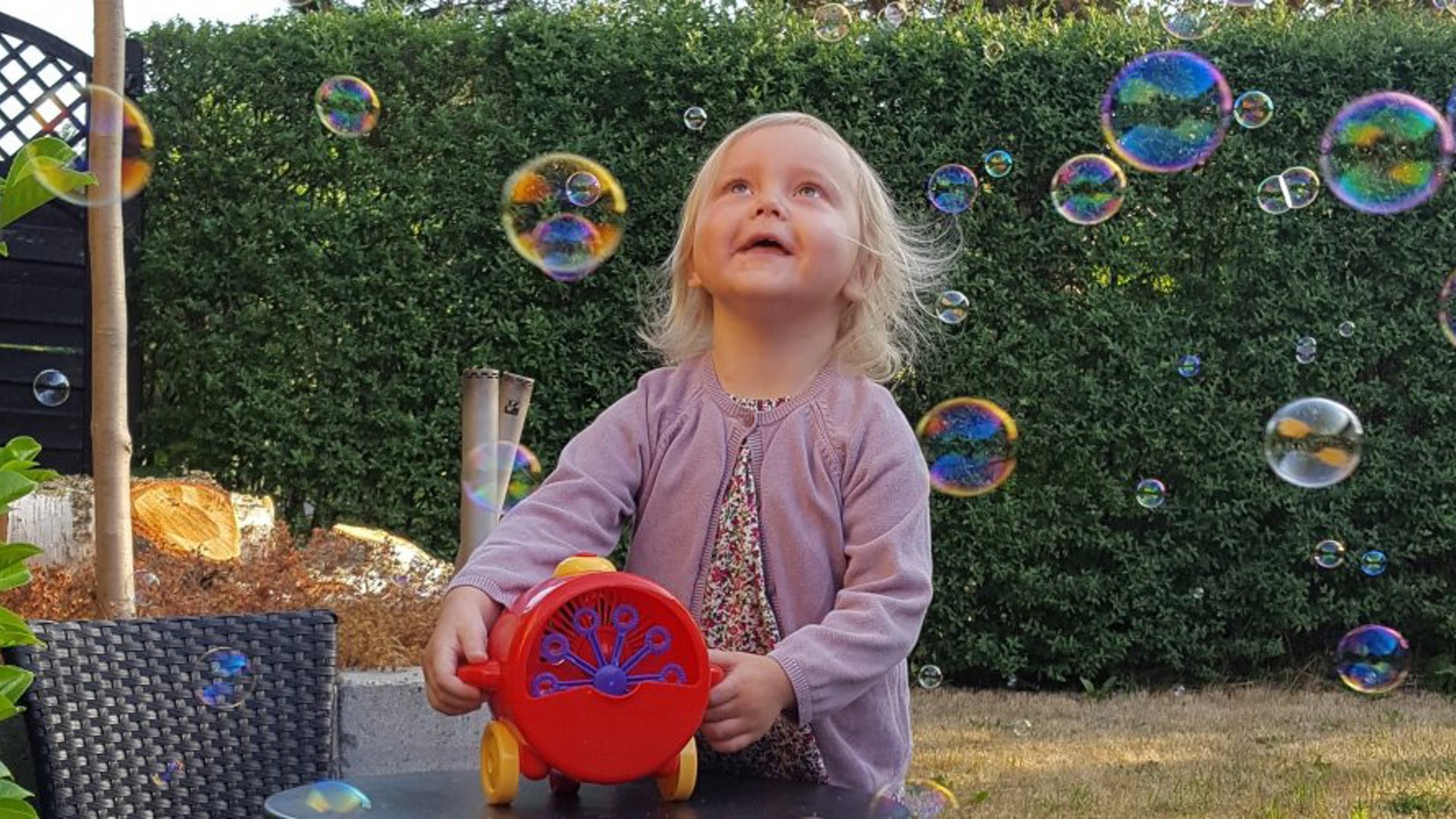 Laura3 E1554116781757 1120X500