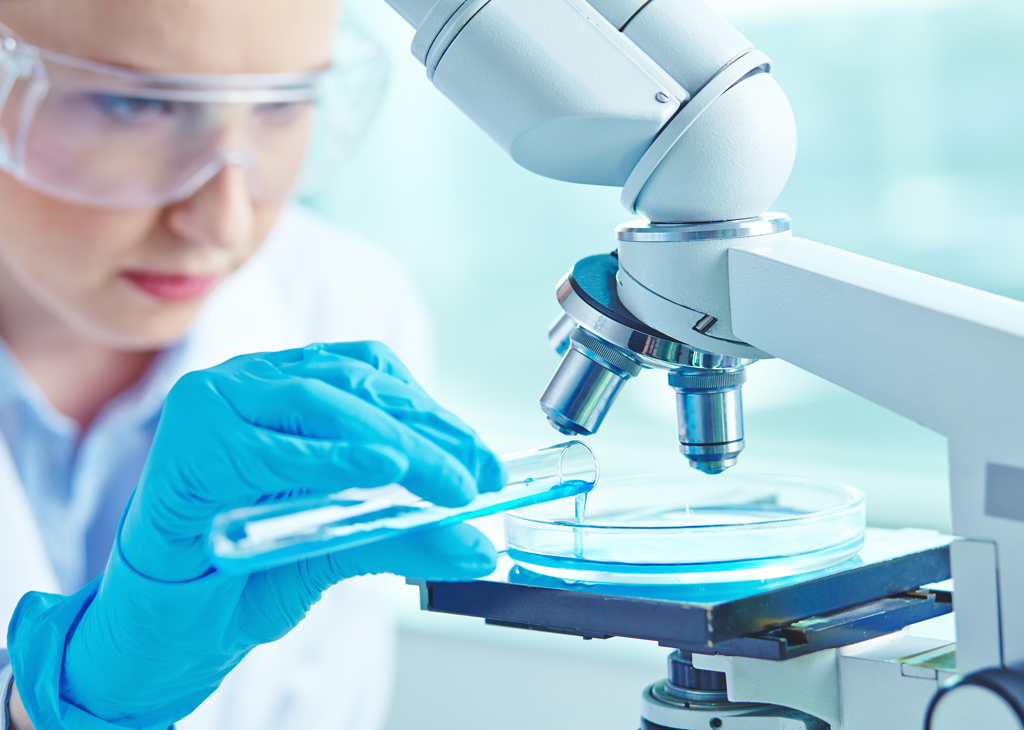 At Laboratory 2025 03 31 14 05 10 Utc