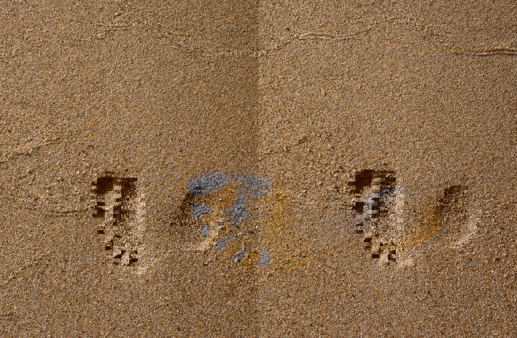 Pexels Elviss Railijs Bitāns 1527828